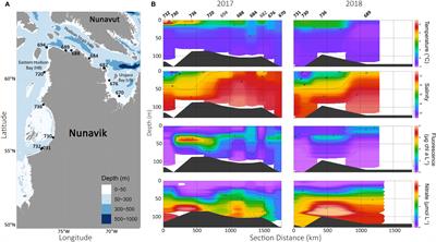Stratification and summer protist communities in the Arctic influenced coastal systems of Nunavik (Québec, Canada)